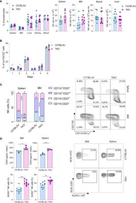 Largely preserved functionality after the combined loss of NKG2D, NCR1 and CD16 demonstrates the remarkable plasticity of NK cell responsiveness